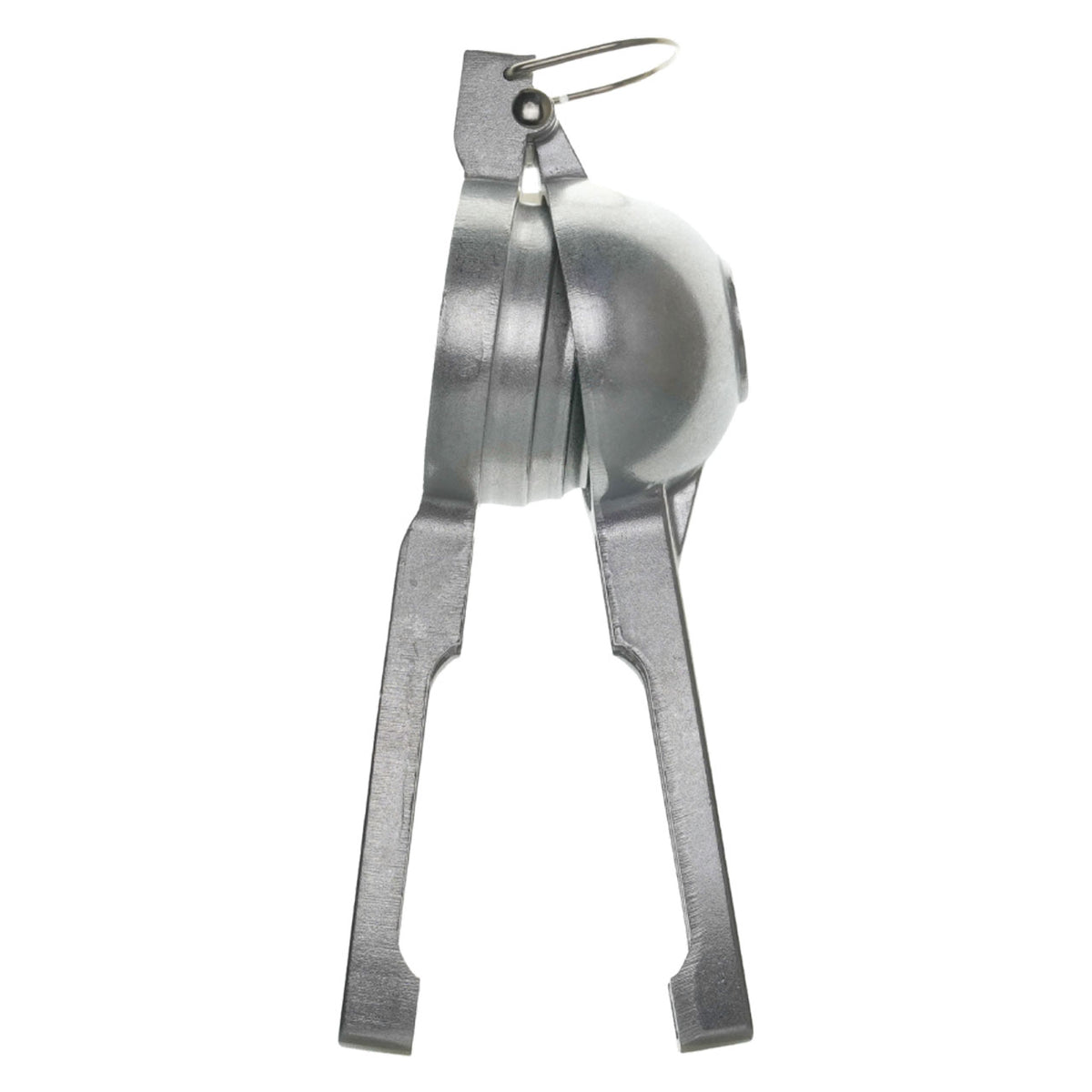 Queen Beehive Juicer