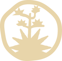 AGAVE CLUB